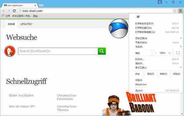 开源浏览器SRWare Iron v55.0.2900.1