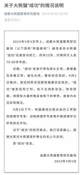 大熊猫“花花”的妈妈“成功”死亡 终年23岁 相当于人类7、80岁